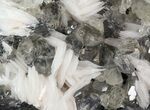 Cerussite Crystals with Bladed Barite on Galena- Morocco #44782-1